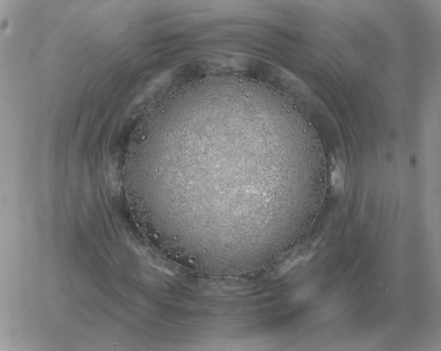 X0000060770819200511241751