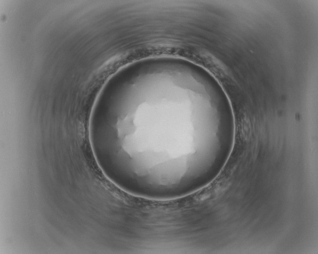 X0000060770821200511241751