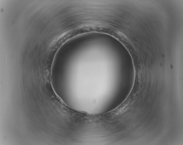 X0000060770822200511241751