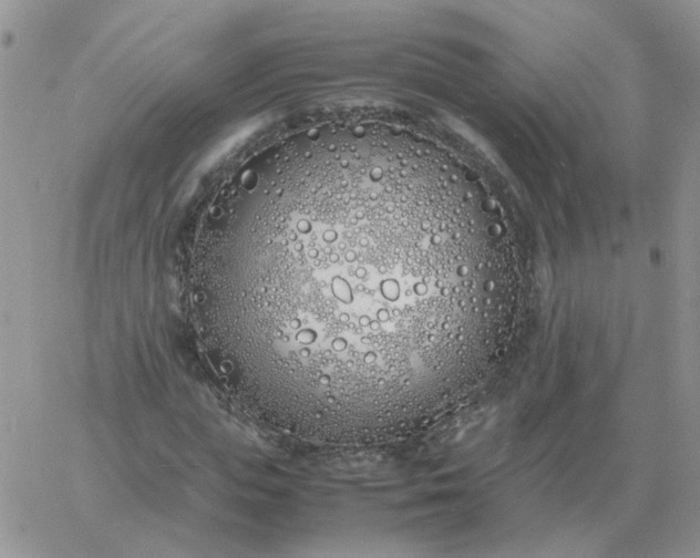 X0000060770823200511241751