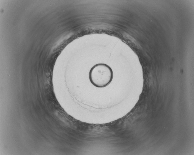 X0000060770824200511241751