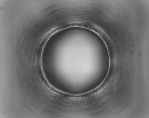 X0000060770825200511241751