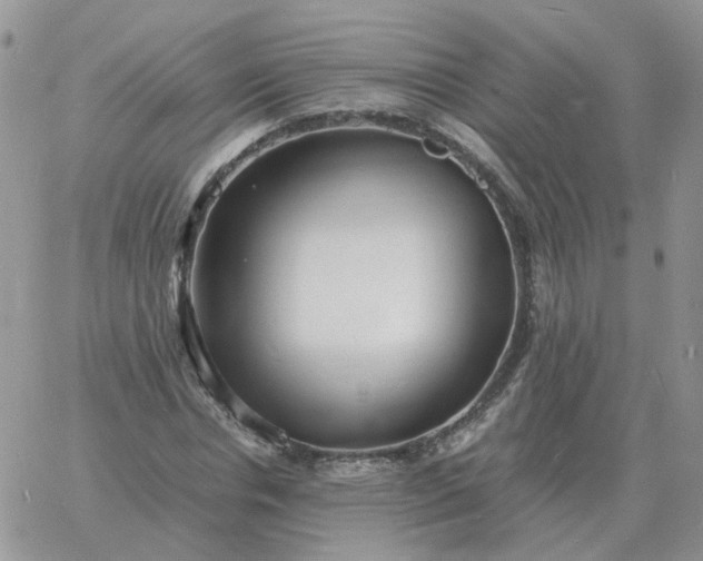 X0000060770826200511241751