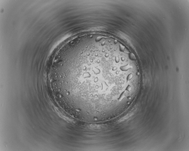 X0000060770827200511241751