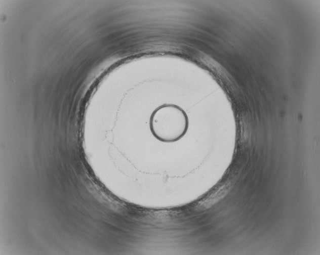 X0000060770828200511241751