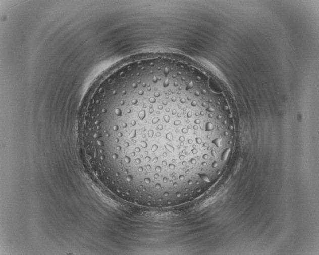 X0000060770831200511241751