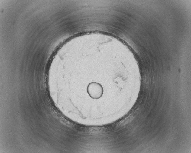 X0000060770832200511241751