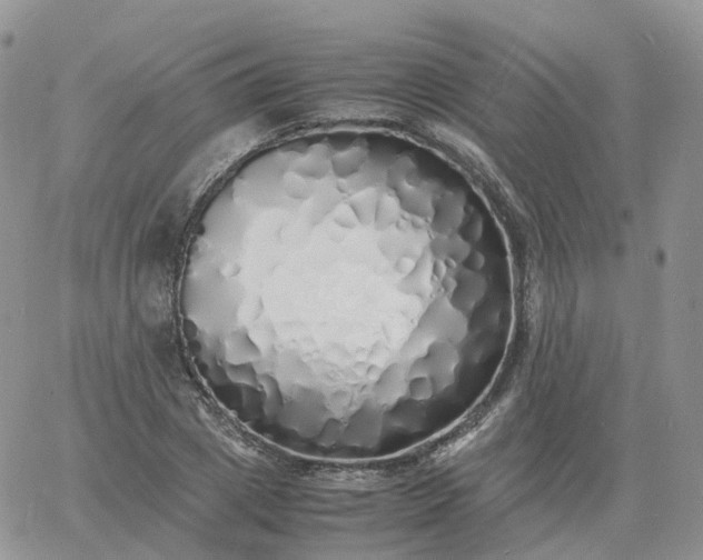 X0000060770833200511241751