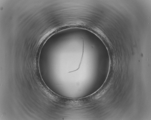 X0000060770834200511241751