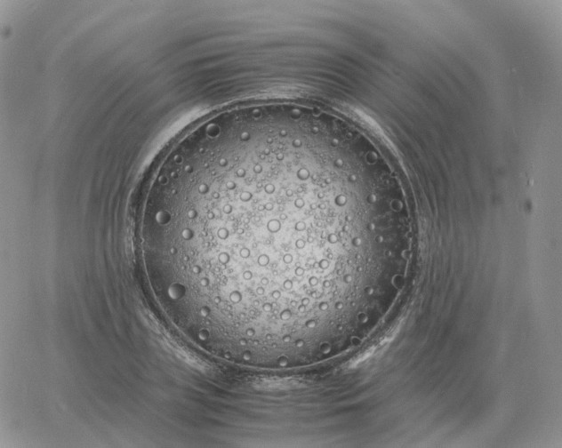 X0000060770835200511241751