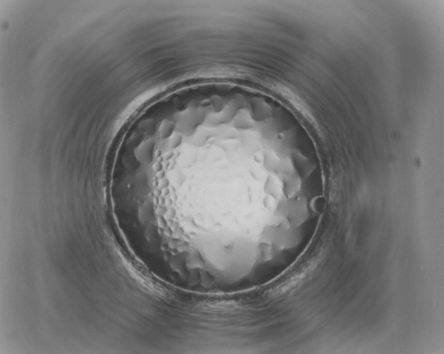 X0000060770837200511241751