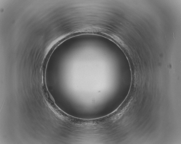 X0000060770838200511241751