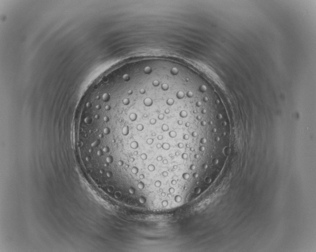 X0000060770839200511241751