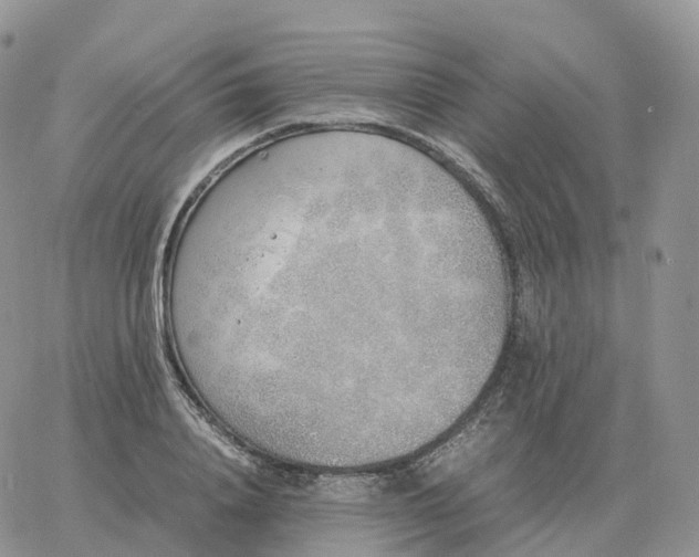 X0000060770840200511241751