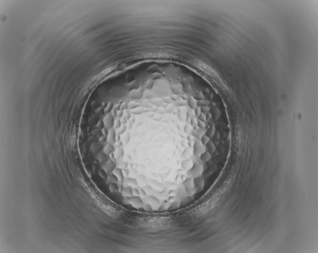 X0000060770841200511241751