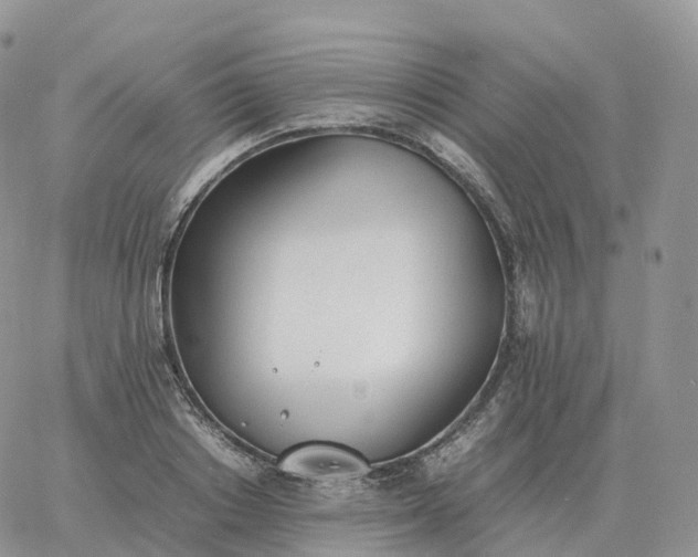 X0000060770842200511241751