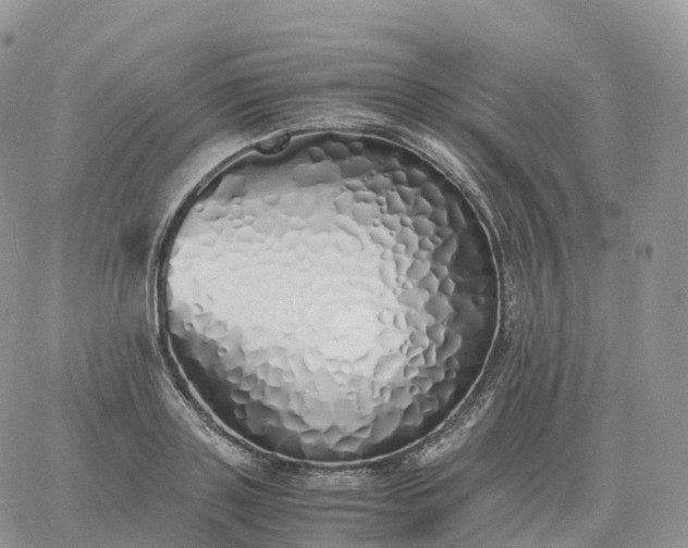 X0000060770843200511241752