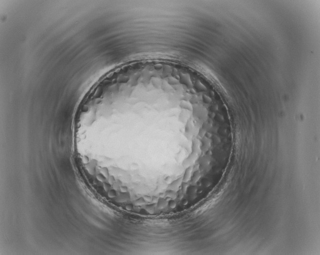 X0000060770844200511241752