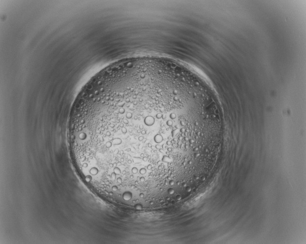 X0000060770847200511241752