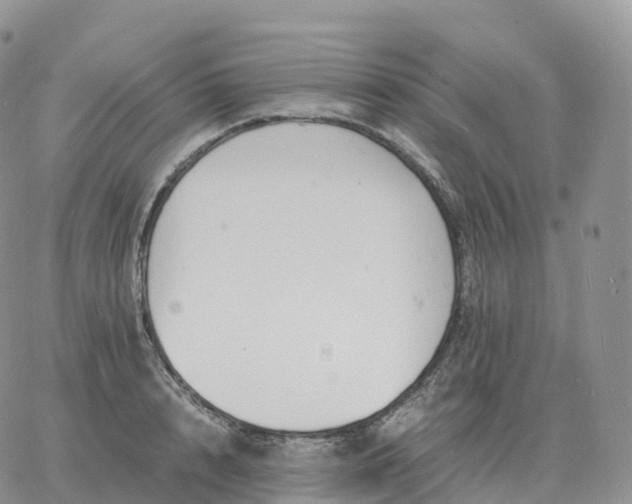 X0000060770848200511241752