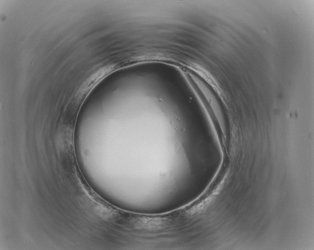 X0000060770849200511241752