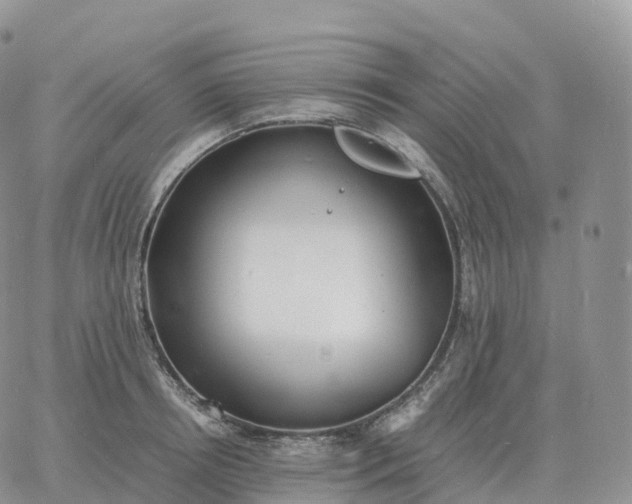 X0000060770850200511241752