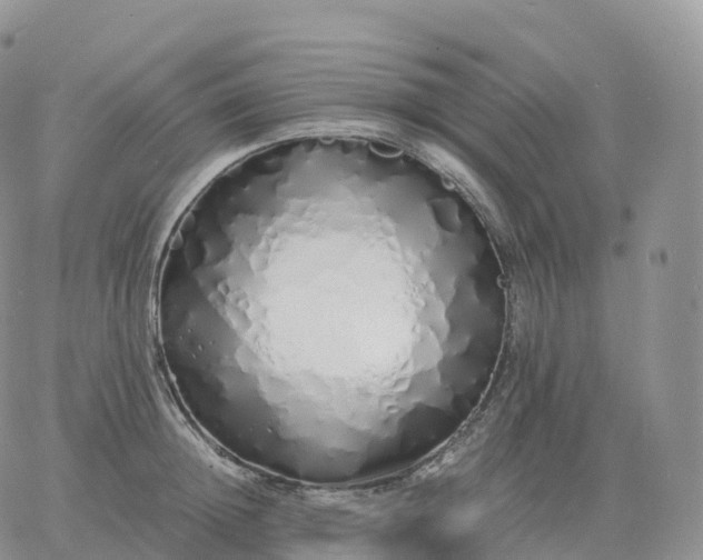 X0000060770852200511241752