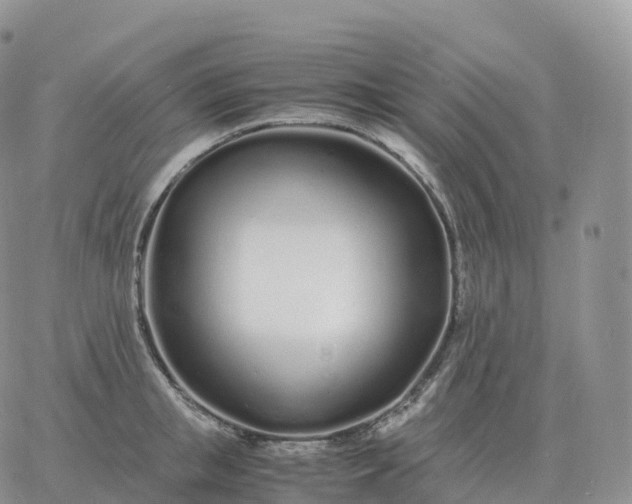 X0000060770853200511241752