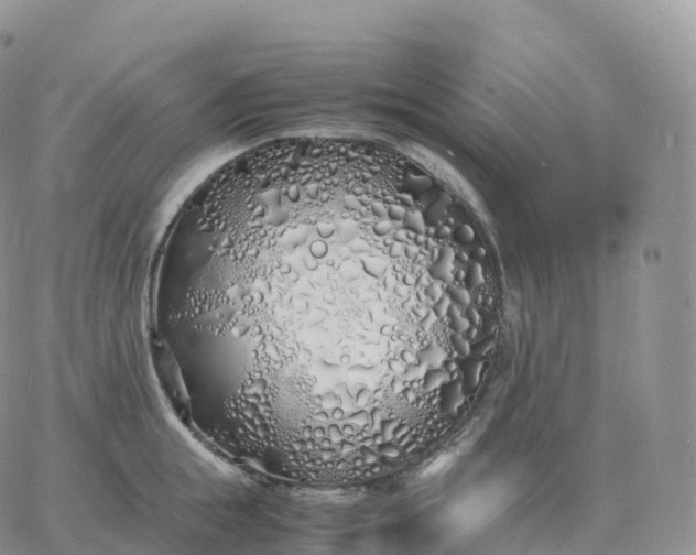 X0000060770855200511241752