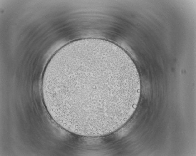 X0000060770856200511241752