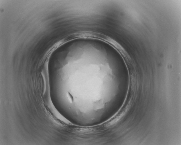 X0000060770857200511241752