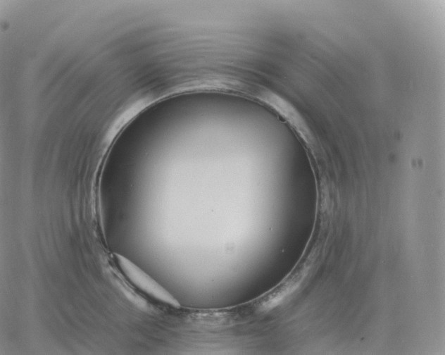 X0000060770858200511241752