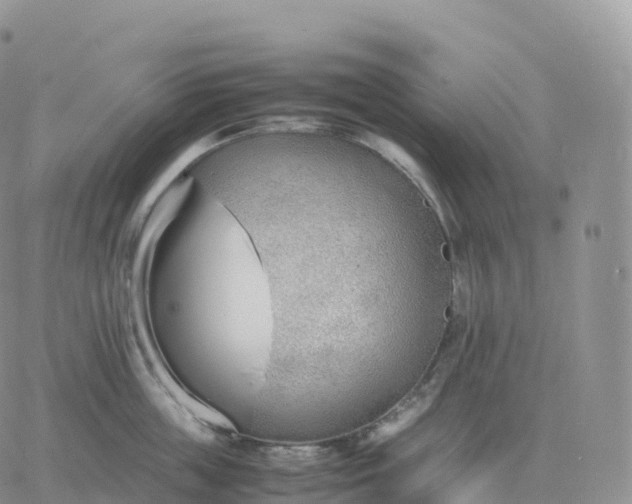 X0000060770859200511241752