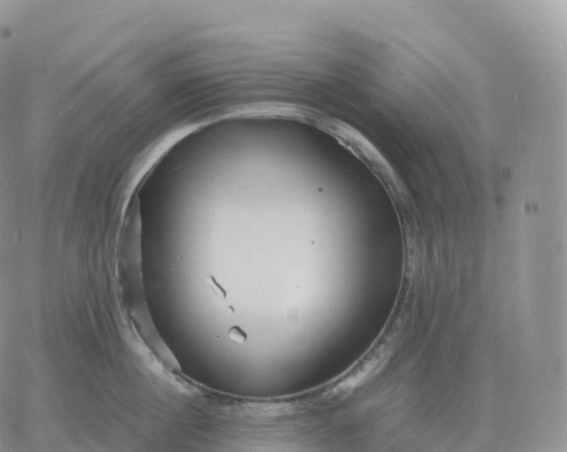 X0000060770860200511241752