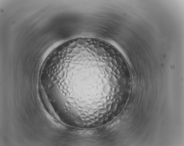 X0000060770861200511241752