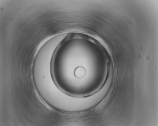 X0000060770862200511241752