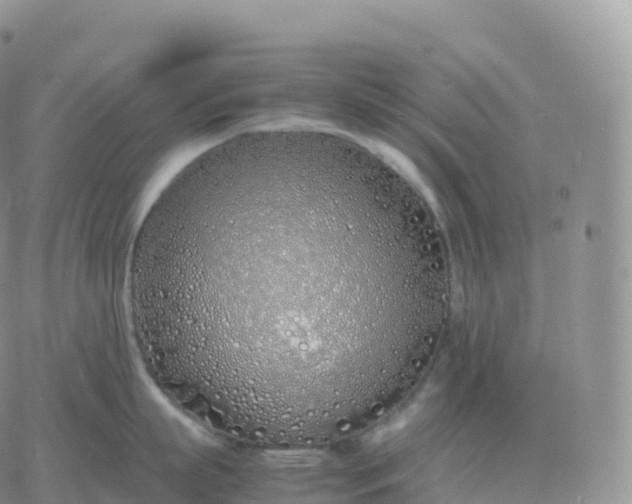 X0000060770863200511241752