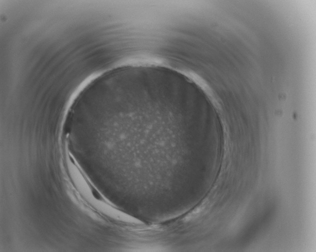 X0000060770864200511241752