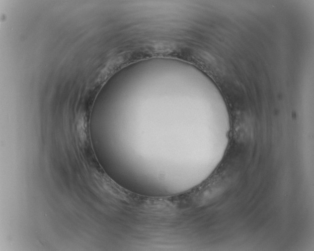 X0000060770866200511241751