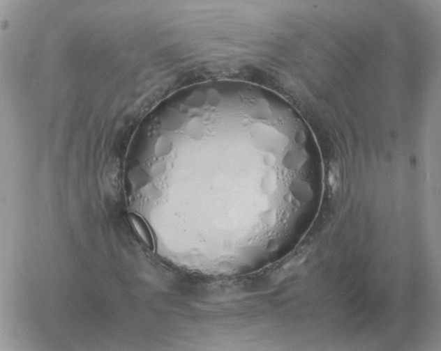 X0000060770867200511241751