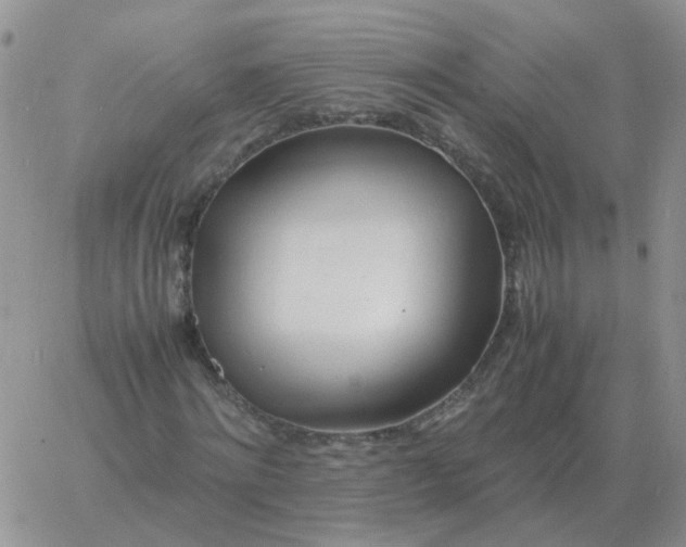 X0000060770868200511241751