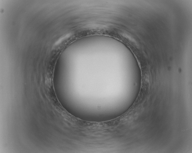 X0000060770869200511241751