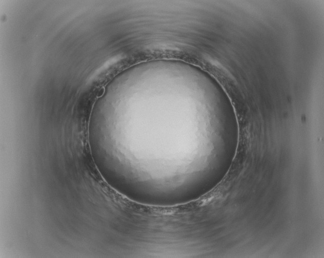 X0000060770870200511241751