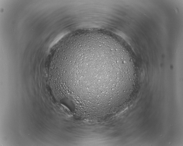 X0000060770871200511241751