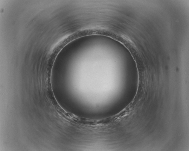 X0000060770872200511241751