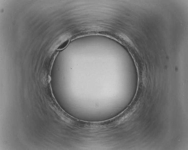 X0000060770873200511241751