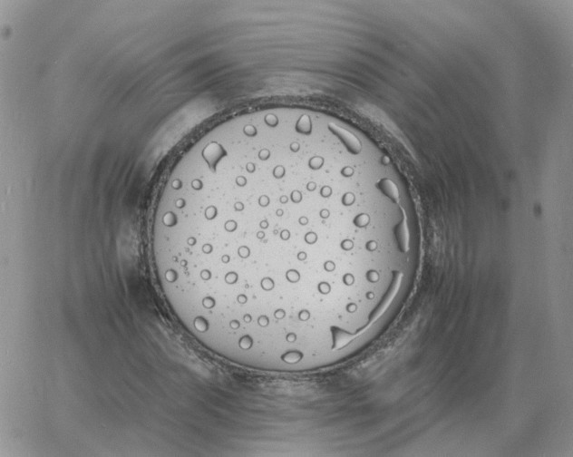 X0000060770874200511241751