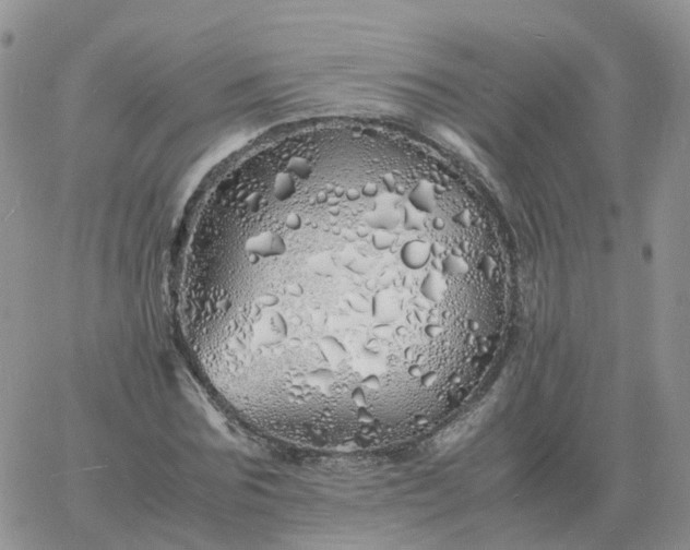 X0000060770875200511241751