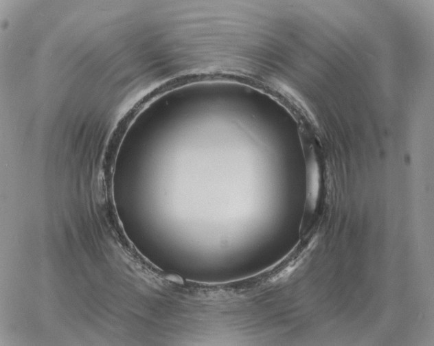 X0000060770876200511241751