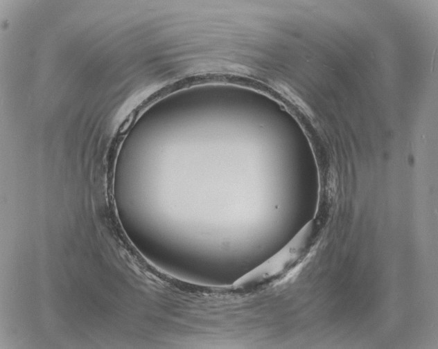 X0000060770877200511241751